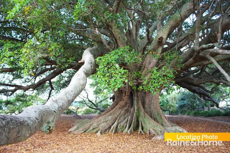 Fifth view of Homely land listing, Lot 506 Hilder Close, Milton NSW 2538