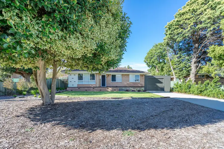 Main view of Homely house listing, 22 Banyard Avenue, Kelmscott WA 6111