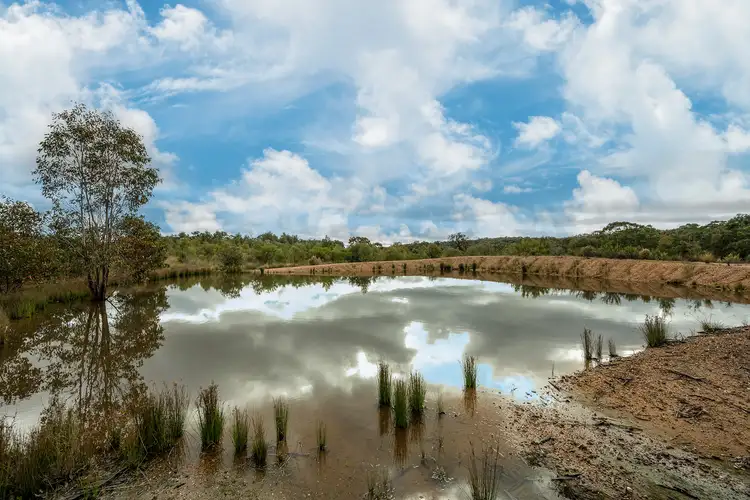 Sixth view of Homely house listing, 962 Blue Springs Road, Gulgong NSW 2852
