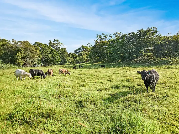 Main view of Homely house listing, 493-505 Blackall Range Road, West Woombye QLD 4559