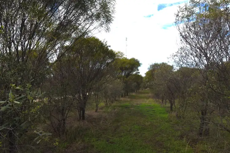 Second view of Homely rural property listing, Lot 18493 Tutanning Road, East Pingelly WA 6308