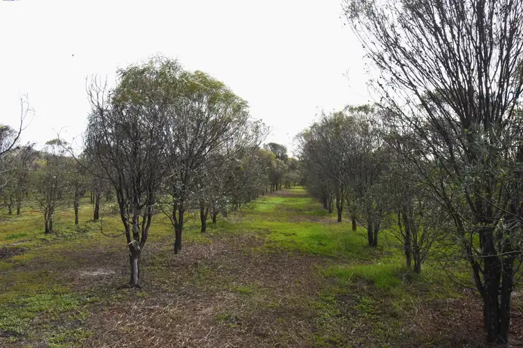Third view of Homely rural property listing, Lot 18493 Tutanning Road, East Pingelly WA 6308