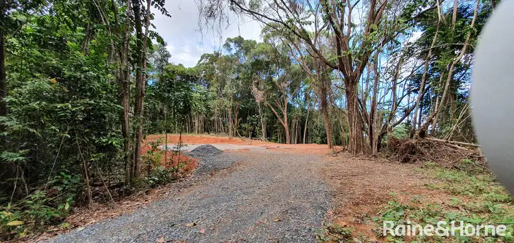 26 Ronald Road, Daintree QLD 4873