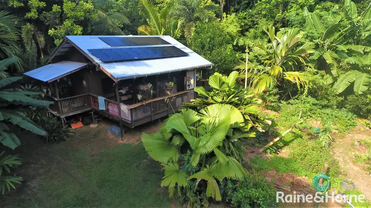 265 Buchanan Creek Road COW BAY, Daintree QLD 4873