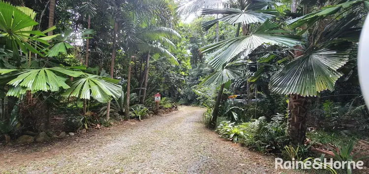 Third view of Homely house listing, 265 Buchanan Creek Road COW BAY, Daintree QLD 4873