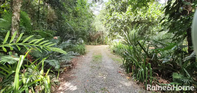 Fourth view of Homely house listing, 265 Buchanan Creek Road COW BAY, Daintree QLD 4873