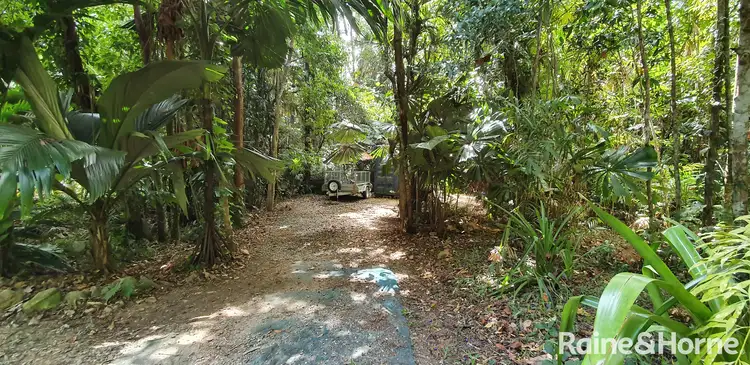 Fifth view of Homely house listing, 265 Buchanan Creek Road COW BAY, Daintree QLD 4873