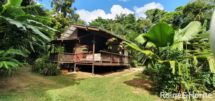 Seventh view of Homely house listing, 265 Buchanan Creek Road COW BAY, Daintree QLD 4873