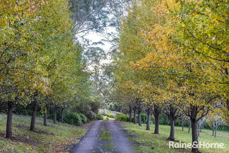 Second view of Homely house listing, 115C Jarretts Lane, Kangaroo Valley NSW 2577
