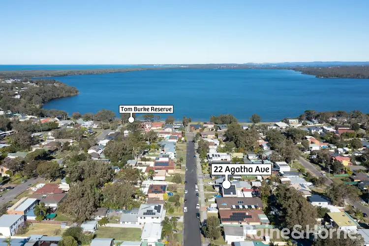 Main view of Homely house listing, 22 Agatha Avenue, Lake Munmorah NSW 2259