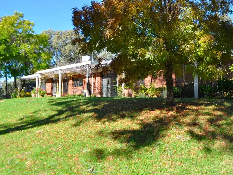 Second view of Homely rural property listing, 404 Morrisseys Road, Coonabarabran NSW 2357