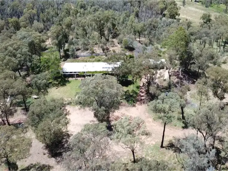 Fifth view of Homely rural property listing, 404 Morrisseys Road, Coonabarabran NSW 2357