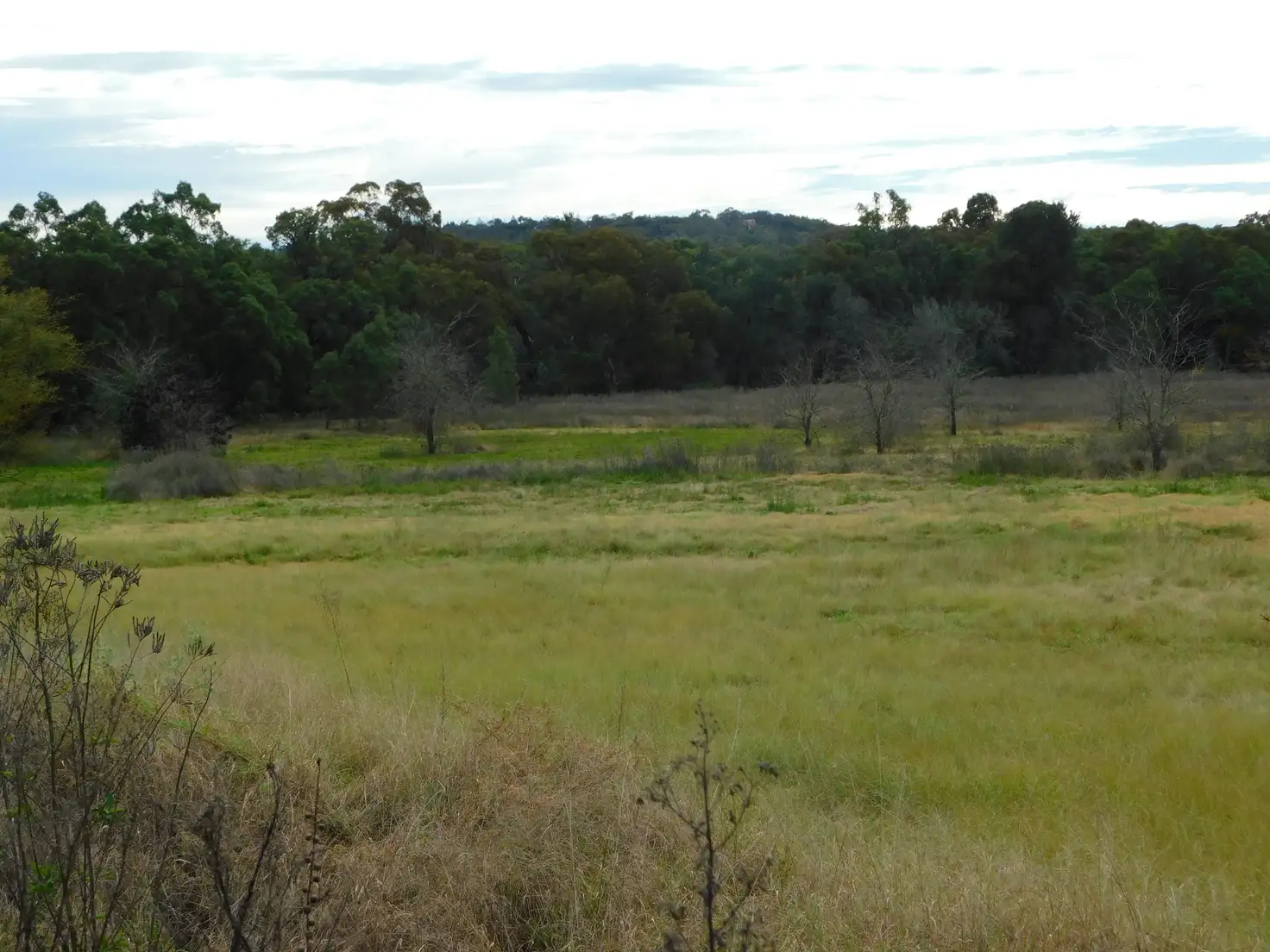 Main view of Homely land listing, Lot 1 Eden Street, Coonabarabran NSW 2357