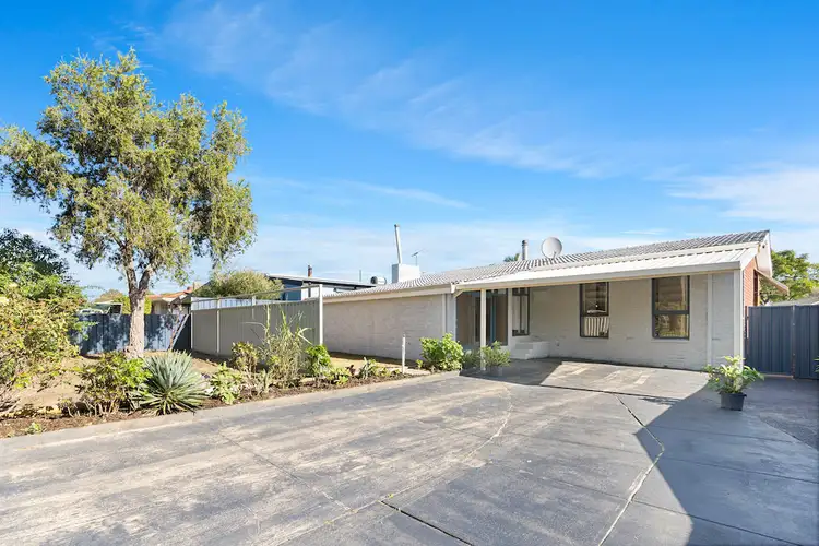 177 Schruth Street, Armadale WA 6112