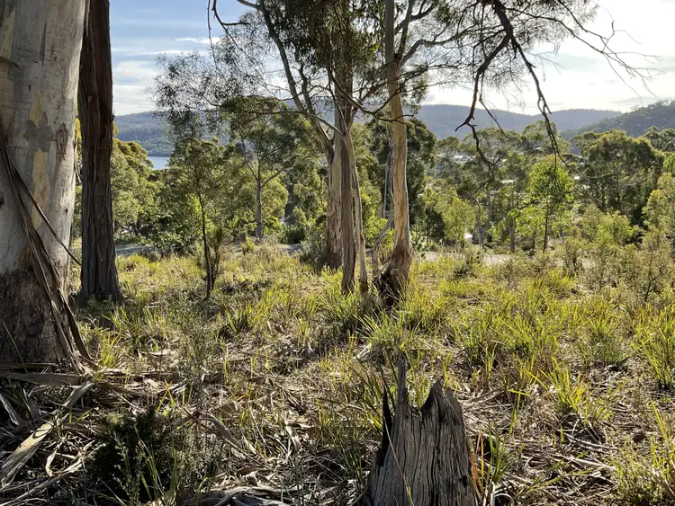 Sixth view of Homely land listing, 3 Mundy Court, Nubeena TAS 7184