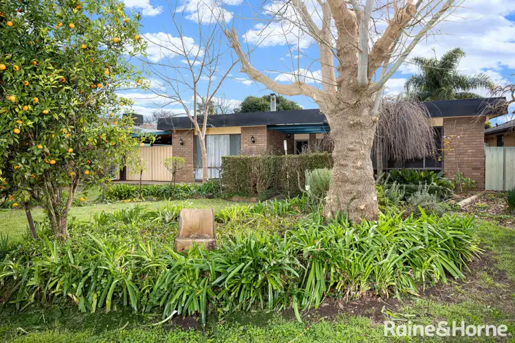 68 Vincent Road, Lake Albert NSW 2650