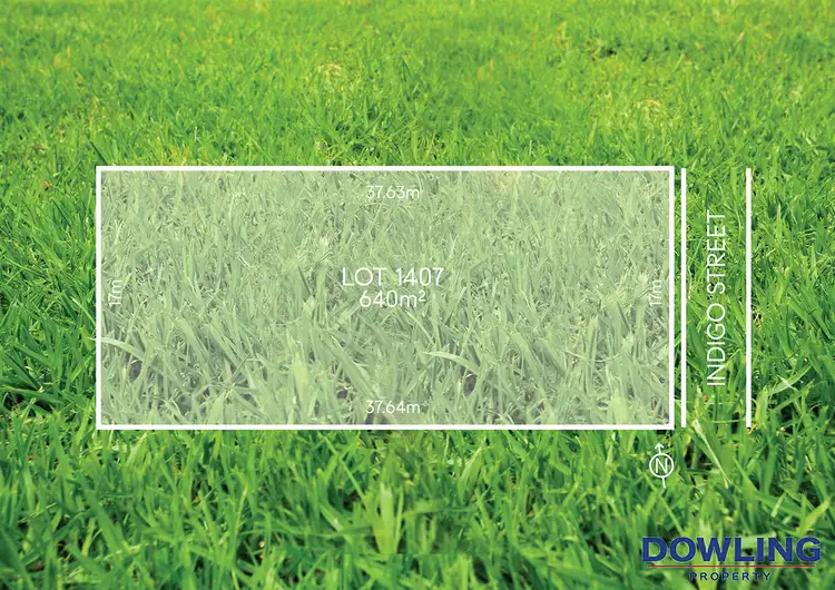 Lot 1407 Indigo Street, Medowie NSW 2318