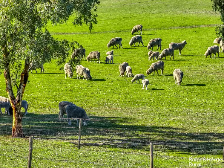 Fifth view of Homely rural property listing, 757 Myrtlegrove Road, Currency Creek SA 5214