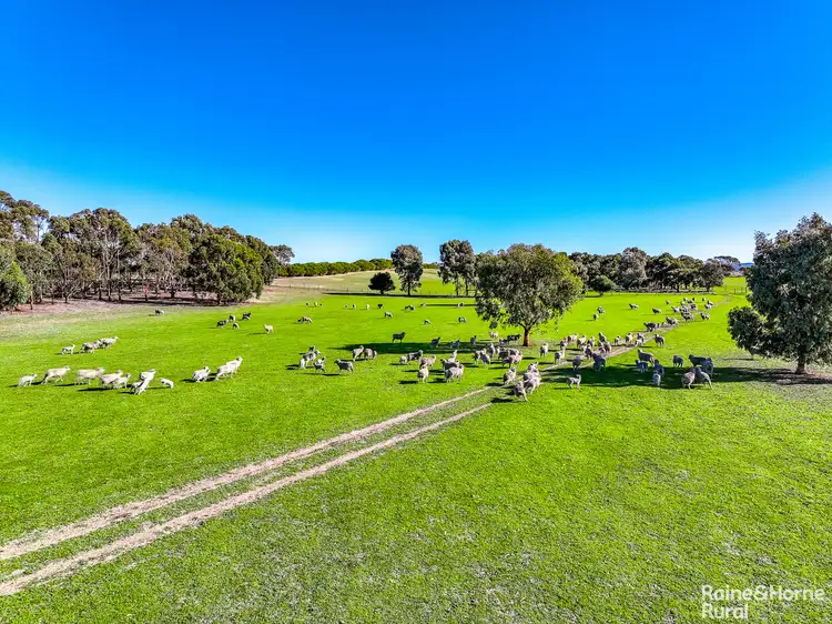 Seventh view of Homely rural property listing, 757 Myrtlegrove Road, Currency Creek SA 5214