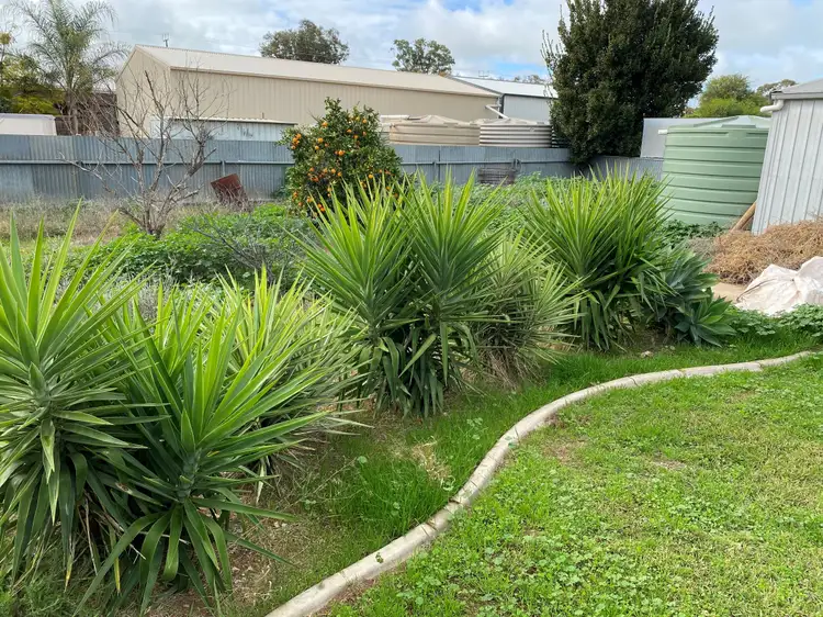 Fifth view of Homely house listing, 29 Ballantyne Street, Wudinna SA 5652