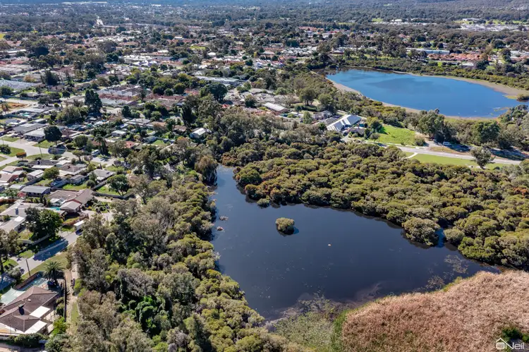 Sixth view of Homely house listing, 19 Barcombe Way, Gosnells WA 6110