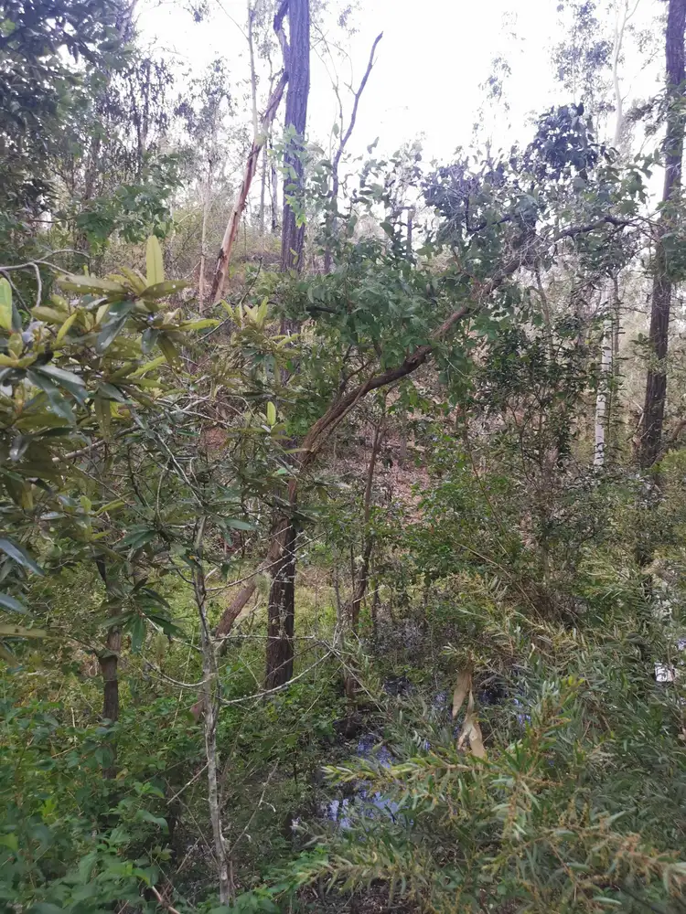 Third view of Homely rural property listing, Lot 7 Old Taabinga, Brooklands QLD 4615