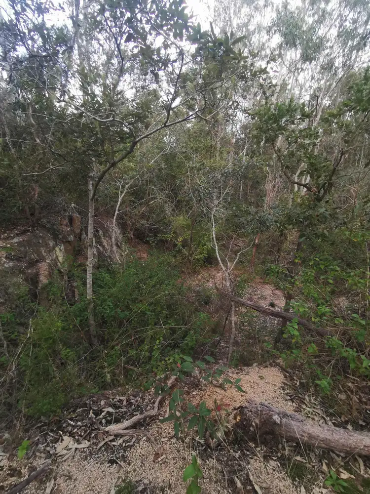 Fourth view of Homely rural property listing, Lot 7 Old Taabinga, Brooklands QLD 4615