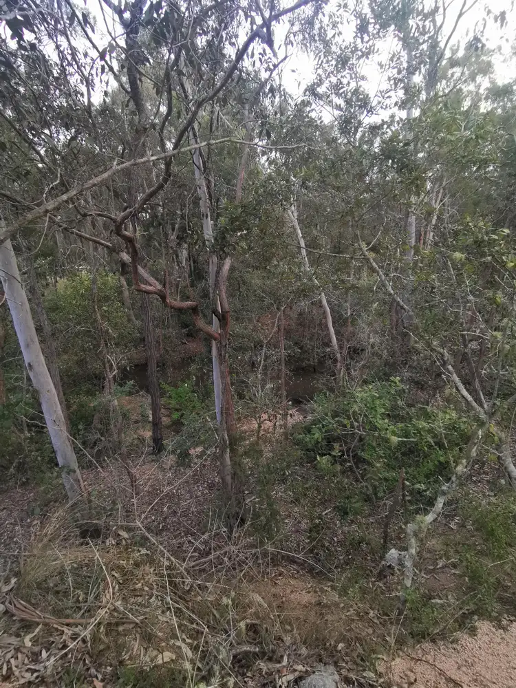 Fifth view of Homely rural property listing, Lot 7 Old Taabinga, Brooklands QLD 4615