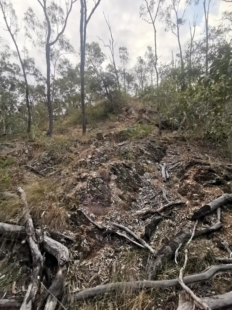 Sixth view of Homely rural property listing, Lot 7 Old Taabinga, Brooklands QLD 4615