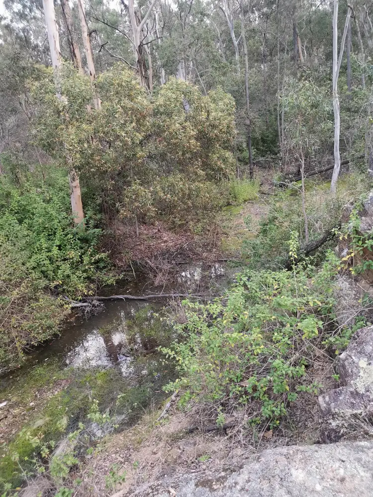Seventh view of Homely rural property listing, Lot 7 Old Taabinga, Brooklands QLD 4615