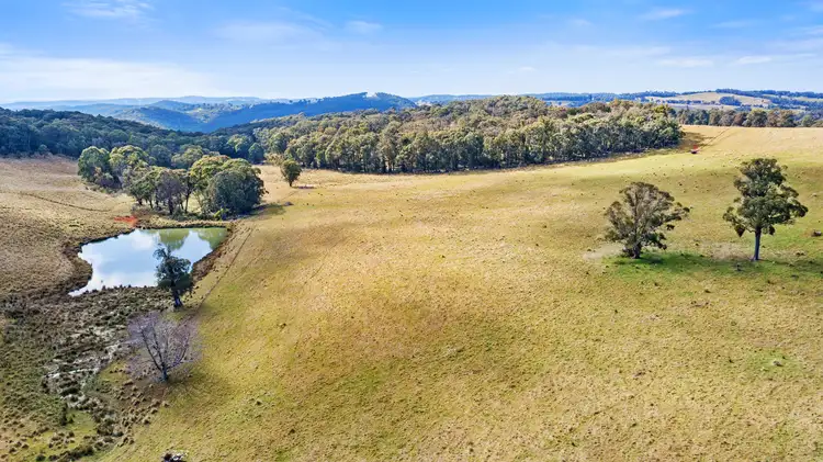 Second view of Homely rural property listing, Bellevue Downs Nowendoc Road, Niangala NSW 2354