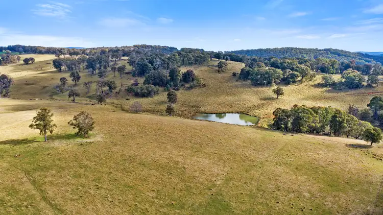 Third view of Homely rural property listing, Bellevue Downs Nowendoc Road, Niangala NSW 2354