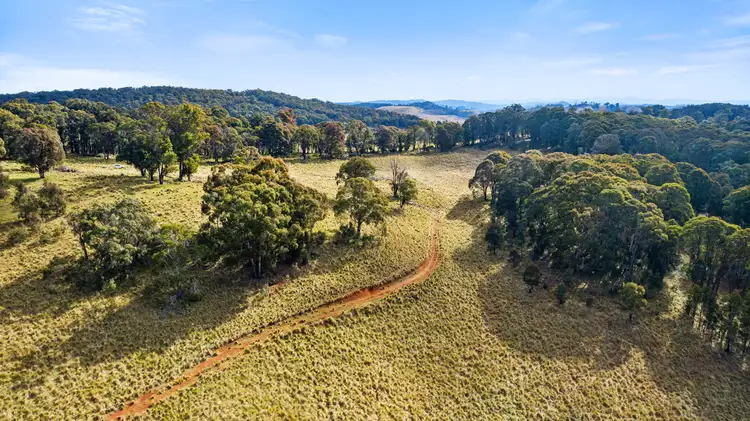 Fifth view of Homely rural property listing, Bellevue Downs Nowendoc Road, Niangala NSW 2354