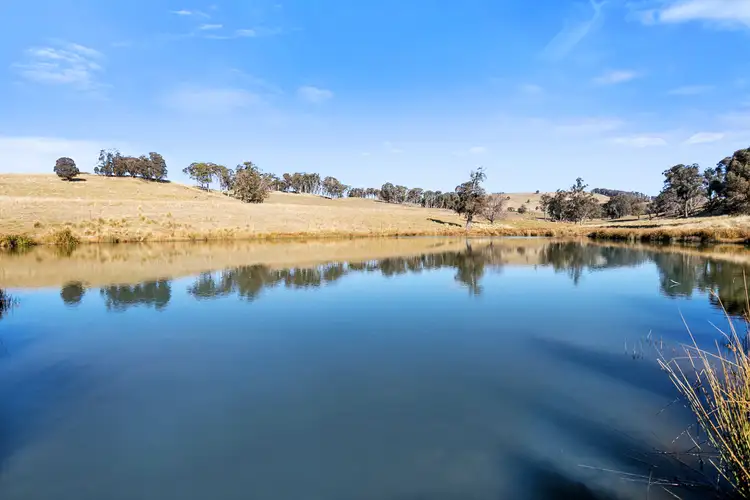 Sixth view of Homely rural property listing, Bellevue Downs Nowendoc Road, Niangala NSW 2354