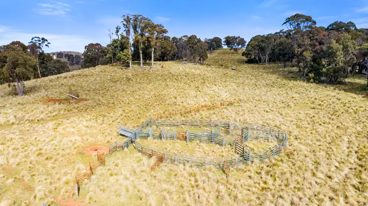 Seventh view of Homely rural property listing, Bellevue Downs Nowendoc Road, Niangala NSW 2354