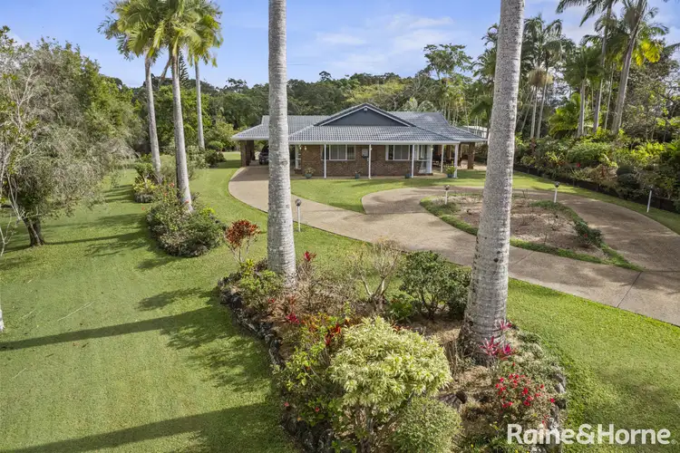 Main view of Homely house listing, 19 Swift Drive, Cooroy QLD 4563