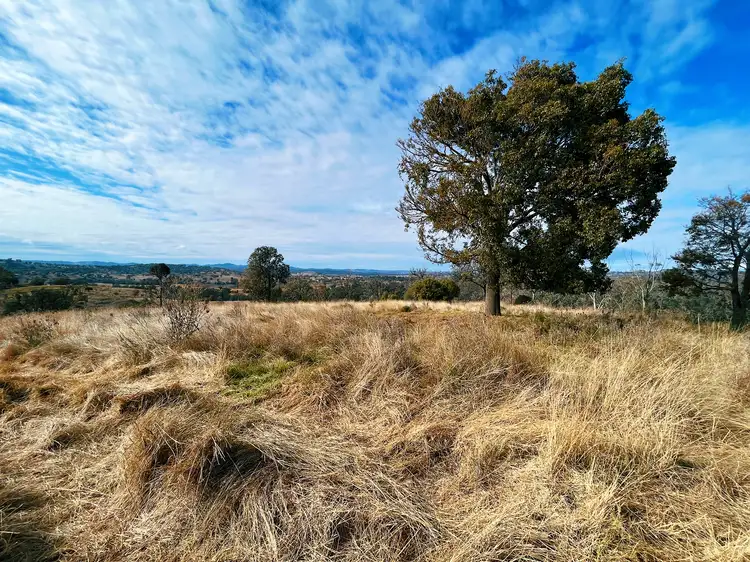 Third view of Homely rural property listing, 1 Horton Road, Upper Horton NSW 2347