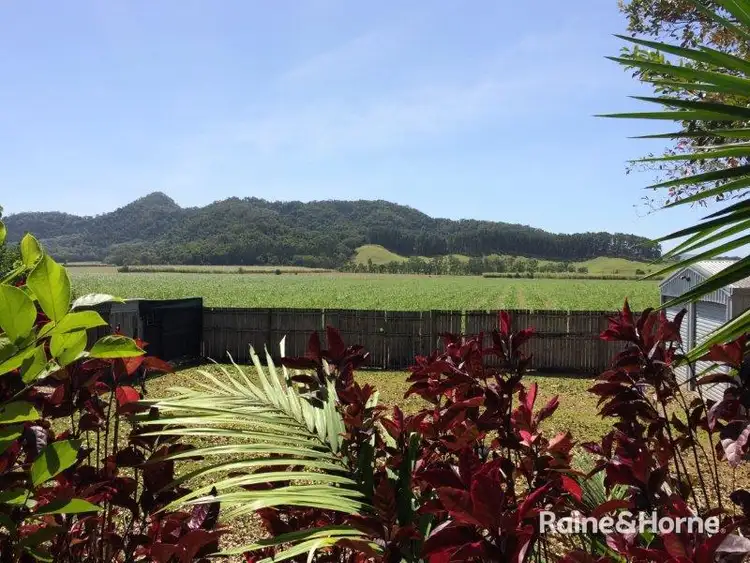 Second view of Homely house listing, 16 Atherton Street, Mossman QLD 4873