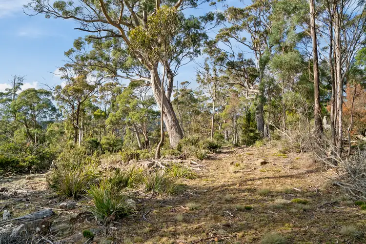 Sixth view of Homely land listing, LOT 2 Stonehenge Road, Stonehenge TAS 7120