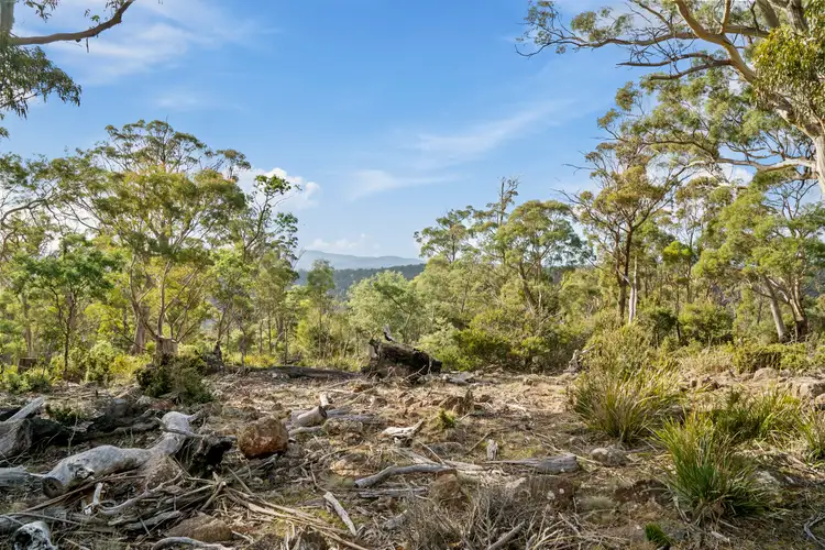 Seventh view of Homely land listing, LOT 2 Stonehenge Road, Stonehenge TAS 7120