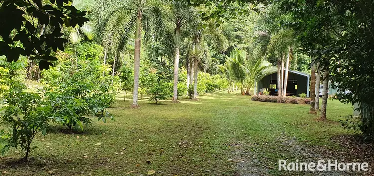 Main view of Homely land listing, 116 Hickory Road COW BAY, Daintree QLD 4873