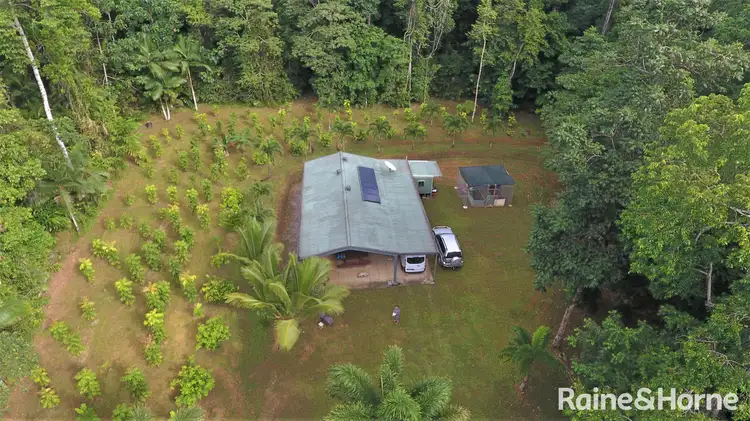 Second view of Homely land listing, 116 Hickory Road COW BAY, Daintree QLD 4873