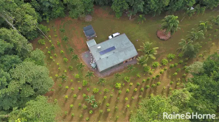 Fifth view of Homely land listing, 116 Hickory Road COW BAY, Daintree QLD 4873