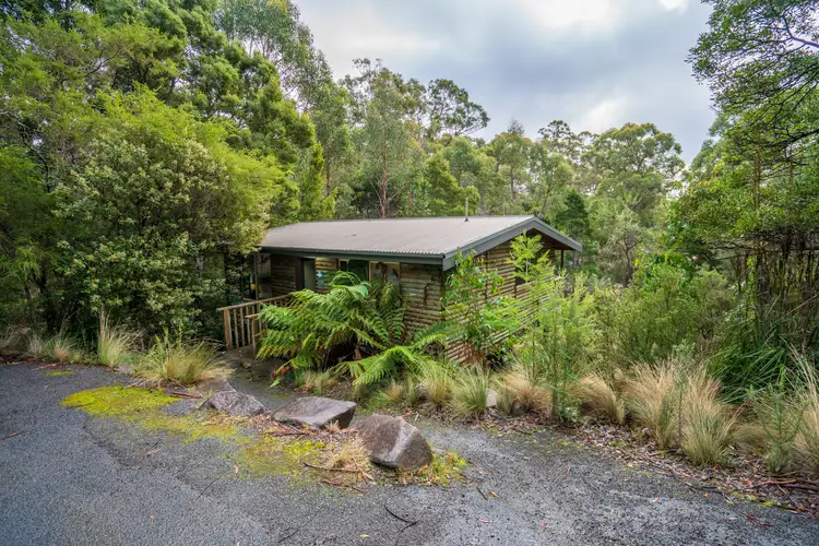 Second view of Homely house listing, Cabin 4 Stewarts Bay Lodge, Port Arthur TAS 7182