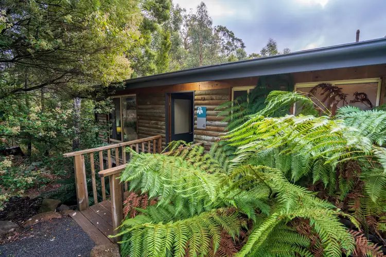 Fourth view of Homely house listing, Cabin 4 Stewarts Bay Lodge, Port Arthur TAS 7182