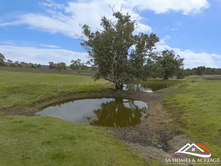 Fifth view of Homely rural property listing, Lot/595 E Lorkes Road, Springton SA 5235