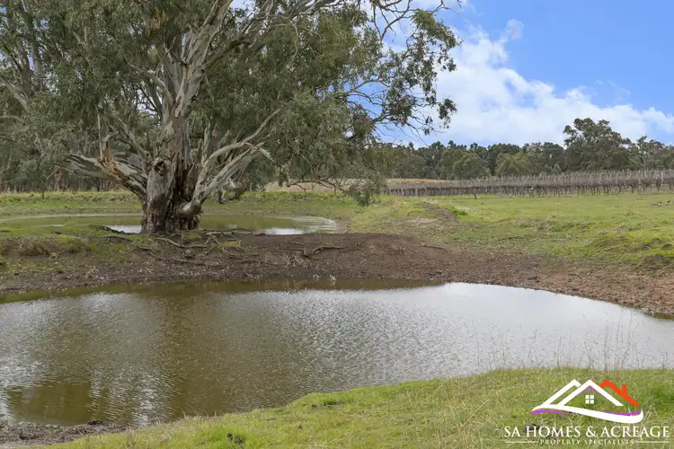Seventh view of Homely rural property listing, Lot/595 E Lorkes Road, Springton SA 5235
