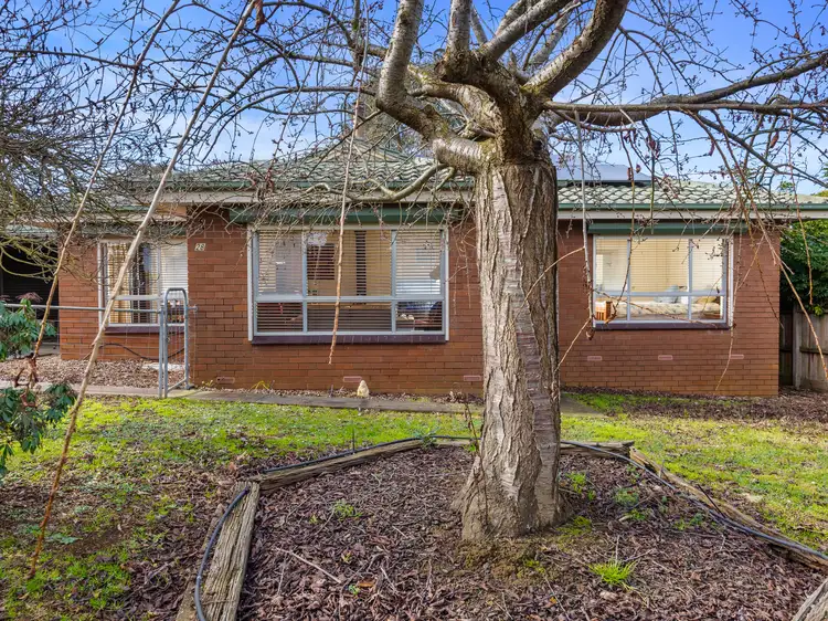 Main view of Homely house listing, 28 Farmers Road, Dumbalk VIC 3956