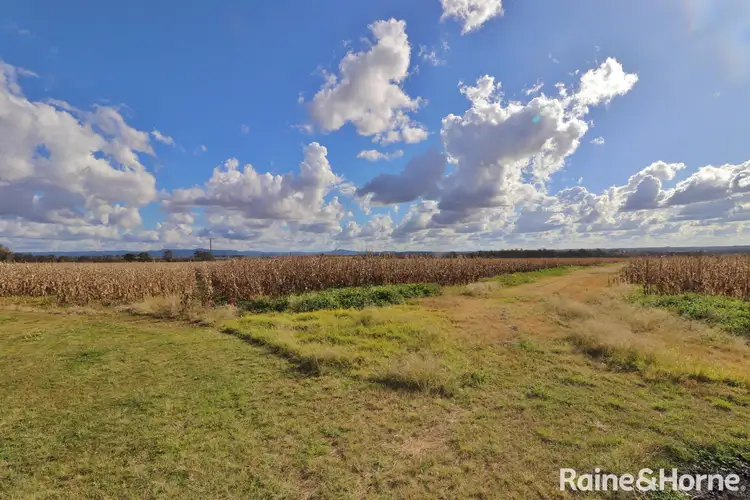 Main view of Homely rural property listing, 984 Ellesmere Rd, Haly Creek QLD 4610