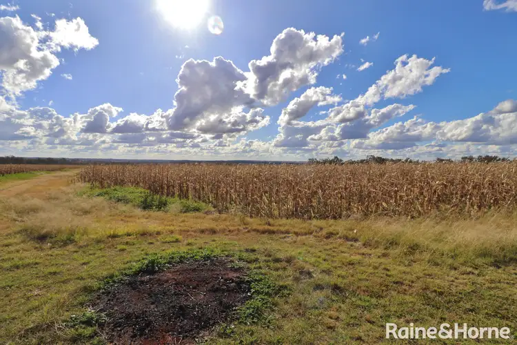 Second view of Homely rural property listing, 984 Ellesmere Rd, Haly Creek QLD 4610